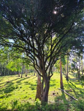 Casa de campo LA FRANCE SA